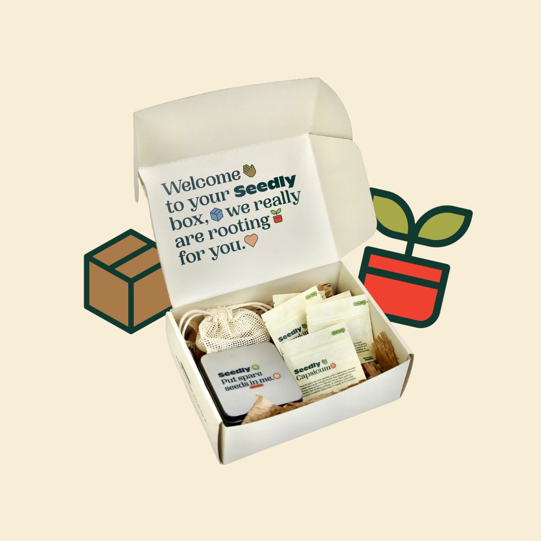 Vegetable, Herb & Flower Seed Box